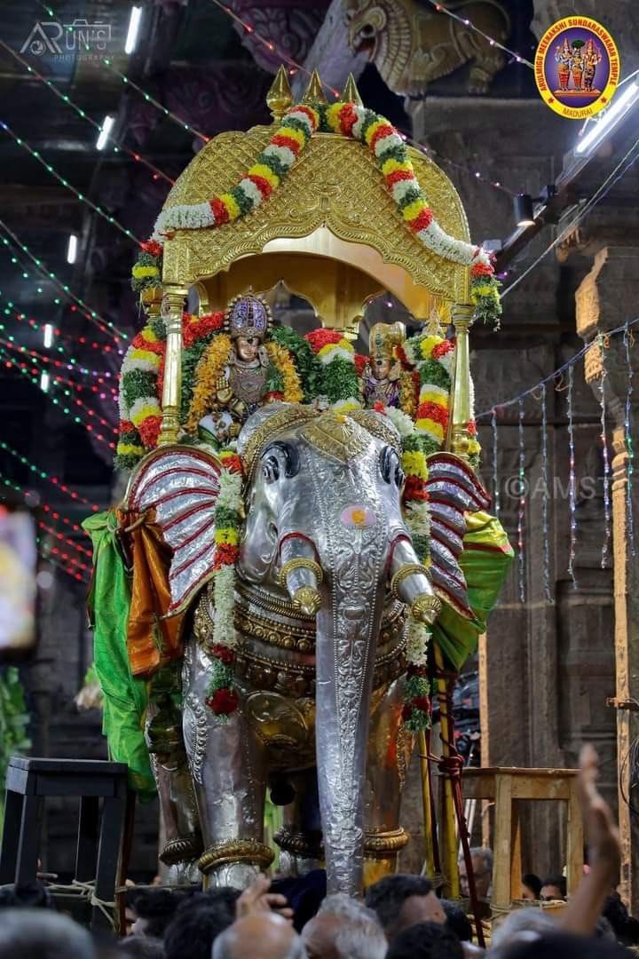 Festival of Cradle