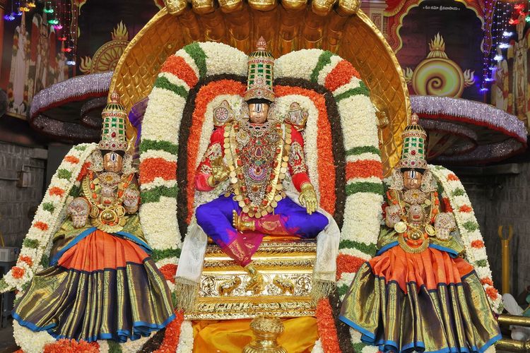 Sri Malayappa Swamy Blesses Devotees on Pedda Sesha Vahanam